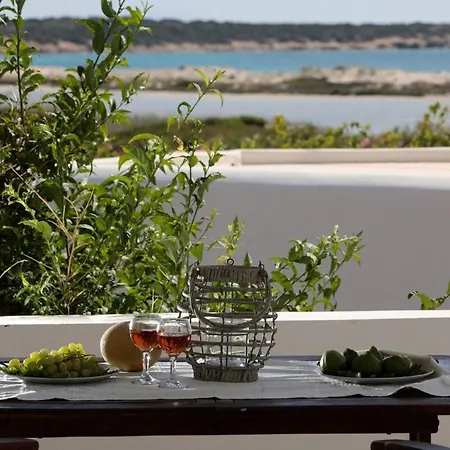Salty 2br Sea View Naxos - Glyfada 아파트 Naxos City