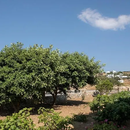 Salty 2br Sea View Naxos - Glyfada 아파트 Kastrákion