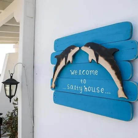 Salty 2br Sea View Naxos - Glyfada *